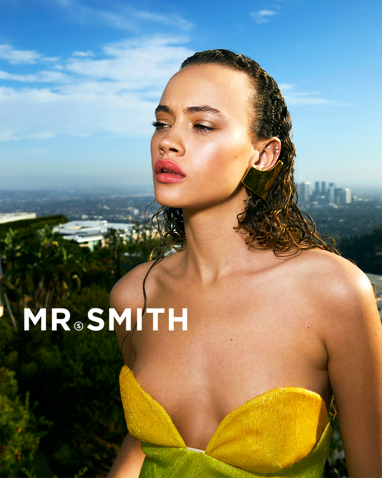 Mr Smith Treatment
